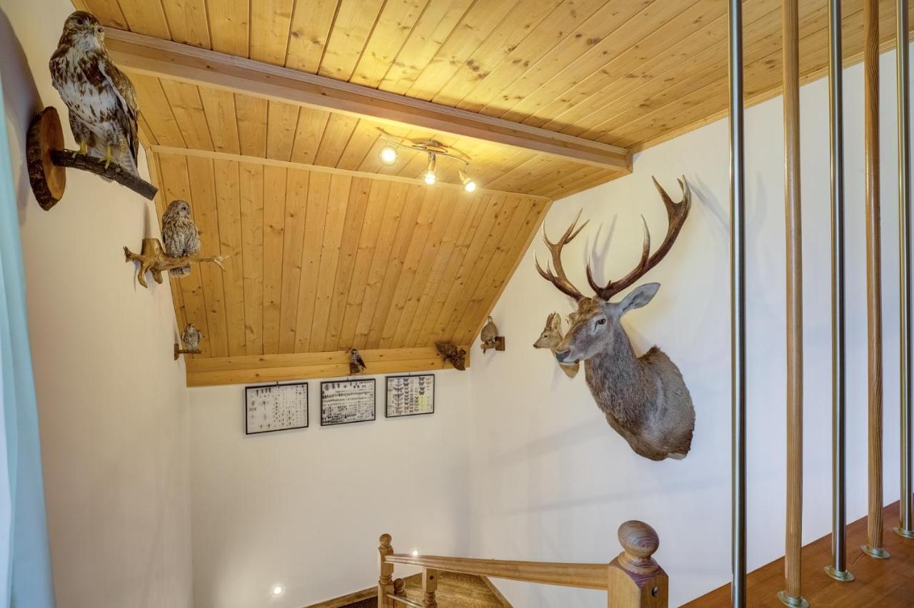 Apartamenty Szwarcowa Tylicz Zewnętrze zdjęcie