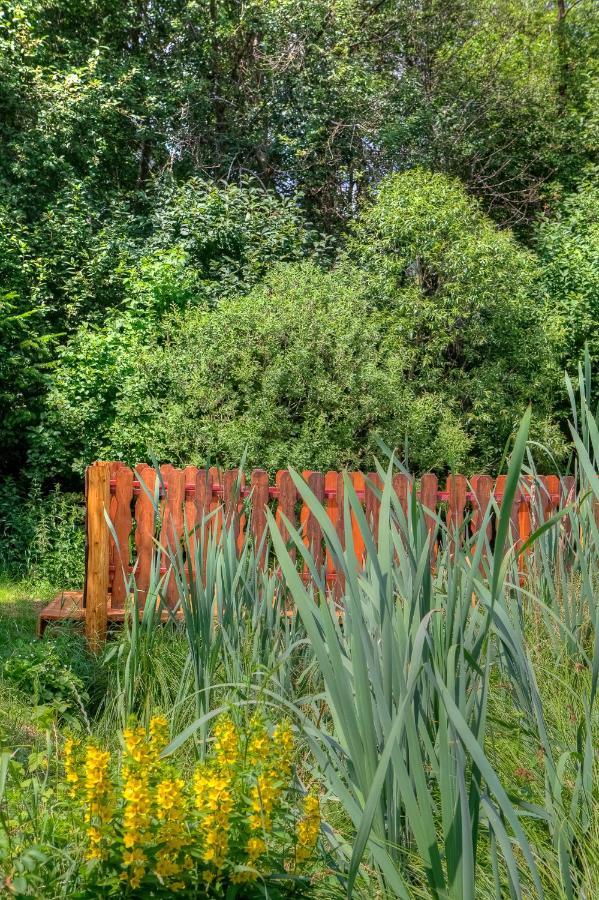 Apartamenty Szwarcowa Tylicz Zewnętrze zdjęcie